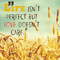 Life Quotes