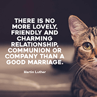 Communication Quotes