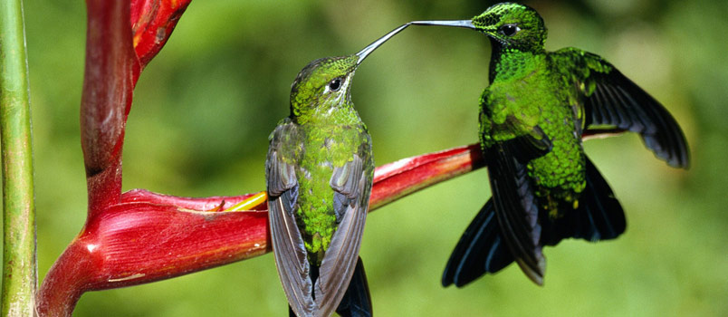  How to Choose the Right Music for Your Wedding Day