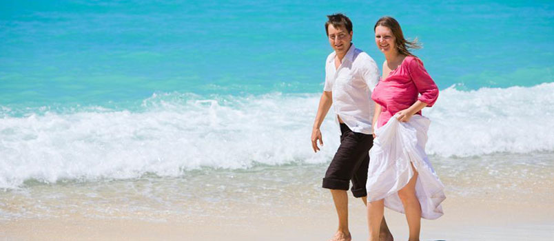 The Honeymoon The Honeymoon