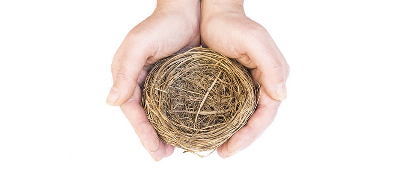 The Empty Nest The Empty Nest