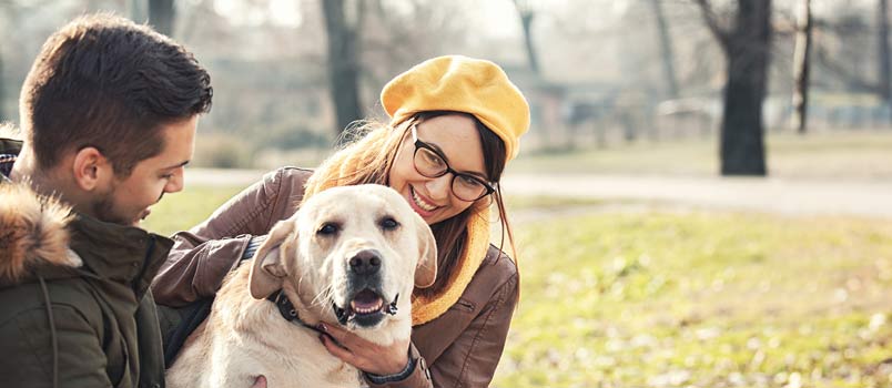 How does Getting a Pet Affect your Relationship?