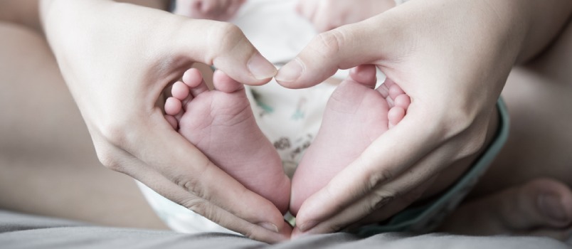 The child is a new journey The child is a new journey