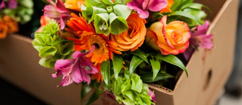 Surprise them with a bunch of flowers Surprise them with a bunch of flowers