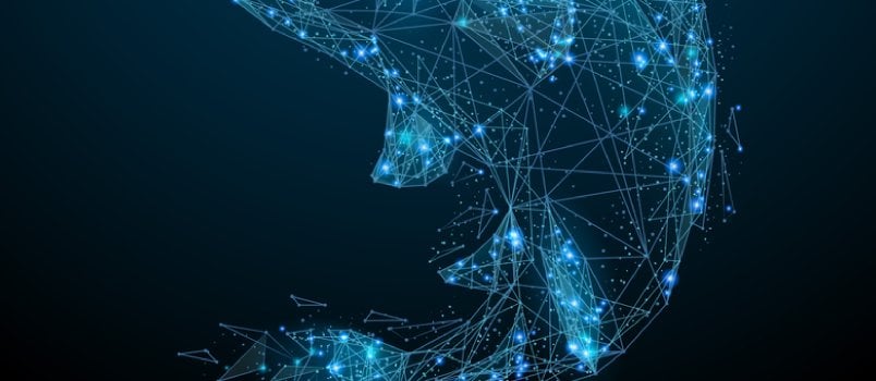 The Salmon season teaches us that life can be lived drama-free The Salmon season teaches us that life can be lived drama-free