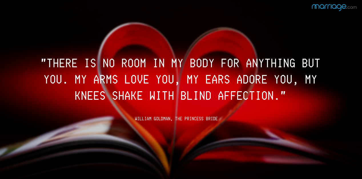 There is no room in my body for anything but you There is no room in my body for anything but you