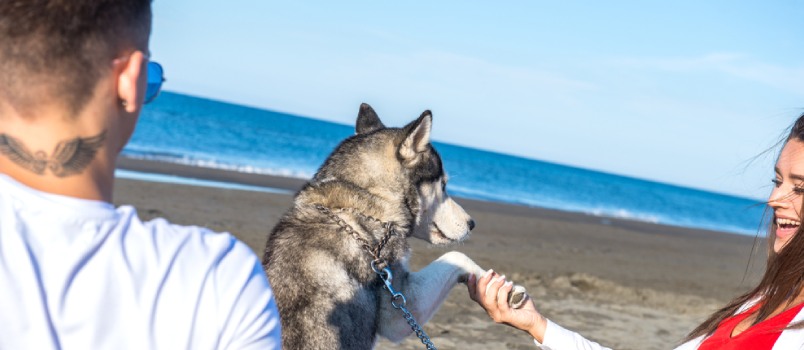 Fiery, confident Leo needs a partner who is either fine with living a bit in their shadow or who can shine just as brightly Fiery, confident Leo needs a partner who is either fine with living a bit in their shadow or who can shine just as brightly