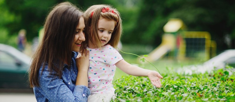 No special carrot or stick No special carrot or stick