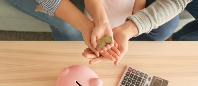 The family budget The family budget