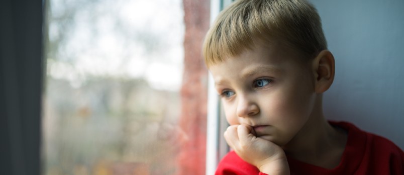 How to teach them to protect each other How to teach them to protect each other