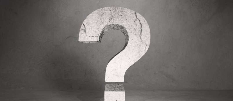 What they have done What they have done?