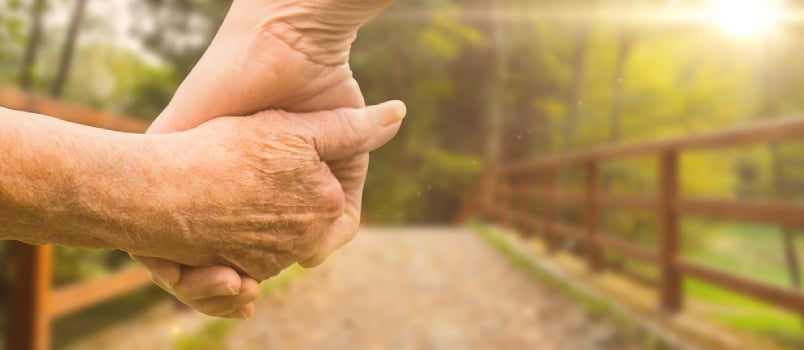 Elderly Couple Holding Hands Against Bridge With Railings Leading Towards Forest