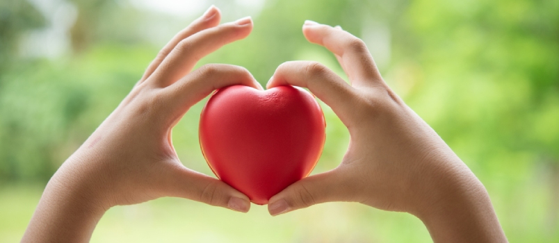 Two Hands Of Child Holding A Red Of Rubber Heart With Green Grass Background