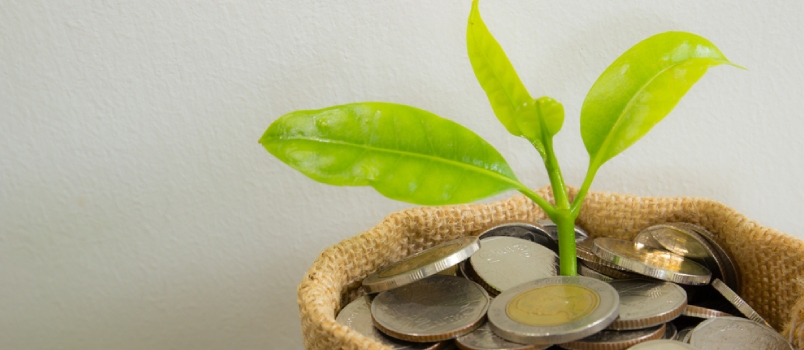 Coins In Sack And Plant Glowing In Savings Coins, Show Stock Asset Investment, Retirement Plan