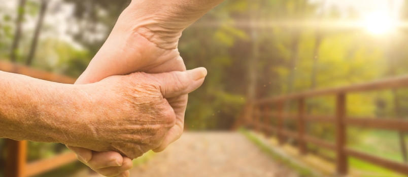 Elderly Couple Holding Hands Against Bridge With Railings Leading Towards Forest