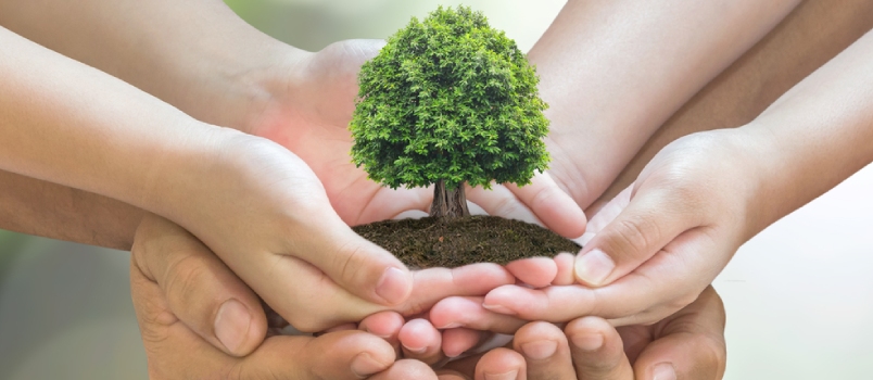 Tree Planting On Volunteer Family's Hands For Eco Friendly And Corporate Social Responsibility Campaign Concept