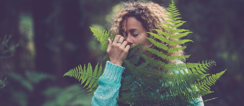 Adult Woman Hug And Hold A Green Leaf In The Forest Wood Enjoying Nature