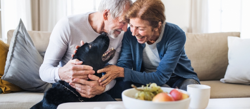 A Happy Senior Couple Sitting on a Sofa Indoors With a Pet Dog at Home.
