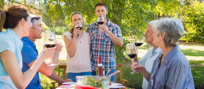 Happy Couple Toasting With Their Family on a Sunny Day