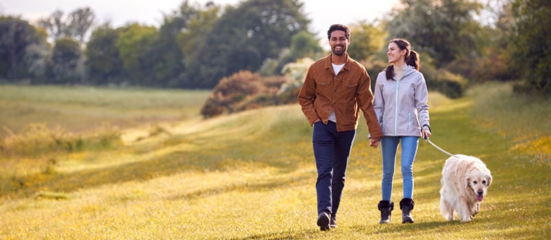 Happy couple walking in park with dog