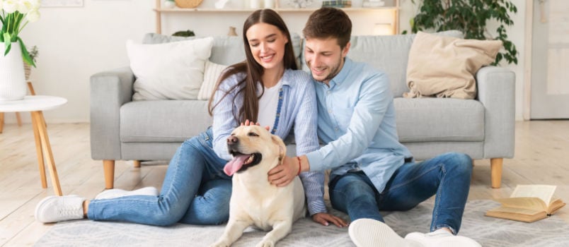 Happy family playing together with dog