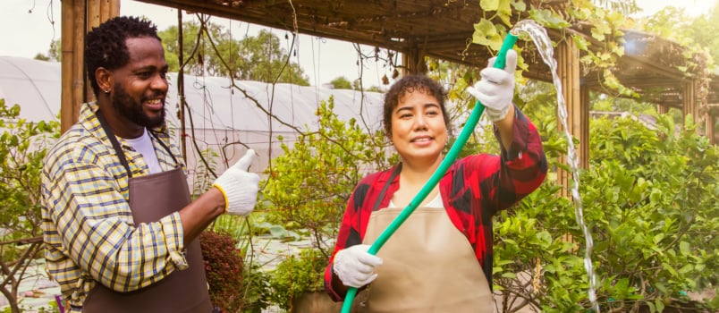 Couple doing gardening together