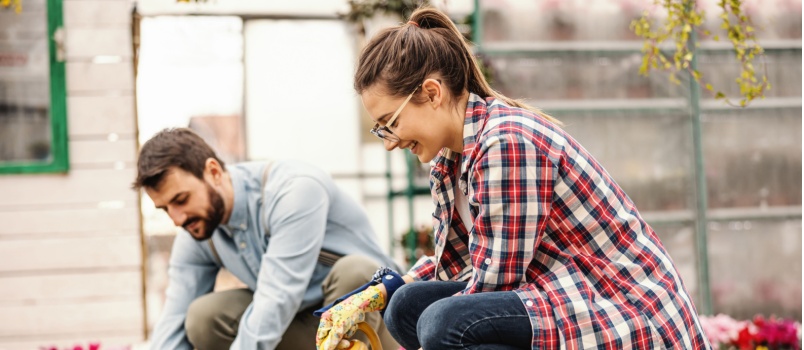 Couple doing gardening together