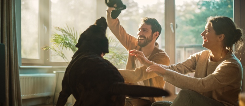Happy couple playing with their dog