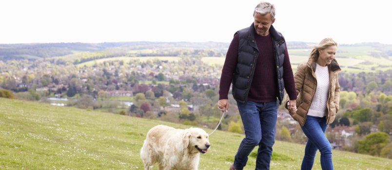 Mature couple talking dog on walk