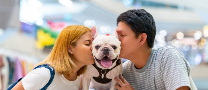 Couple kissing dog