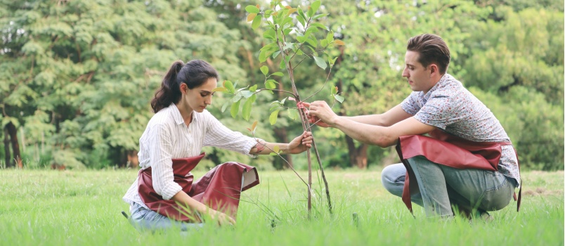 Couple planting tree