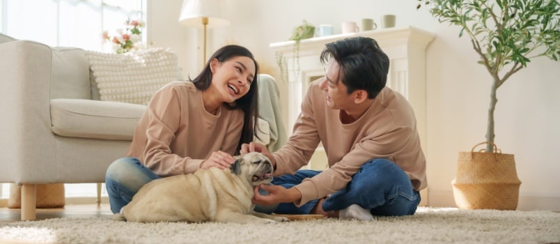 young couple playing with dog