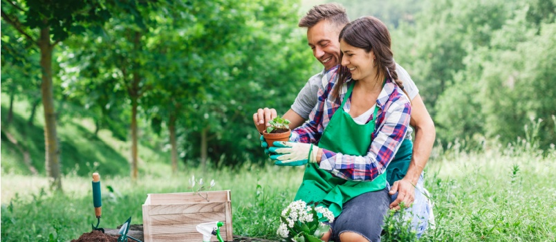 Couple doing gardening