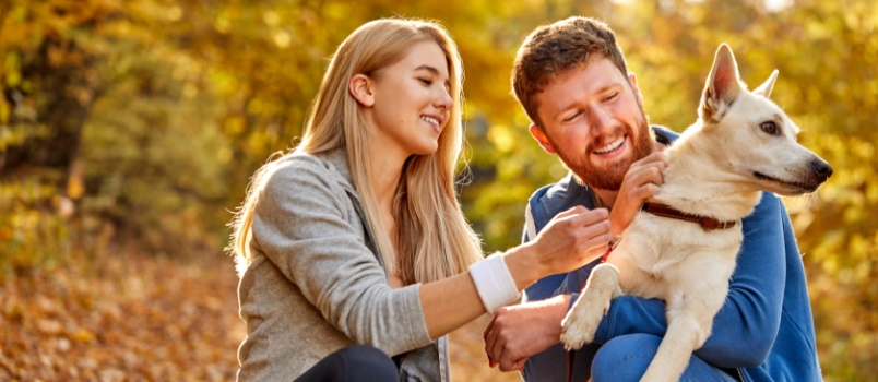 young couple playing in park with their dog 