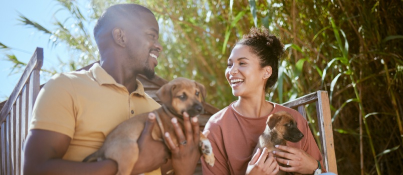 young couple playing with puppy