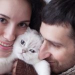 Why Adopting a Cat Can Be Good for Your Marriage