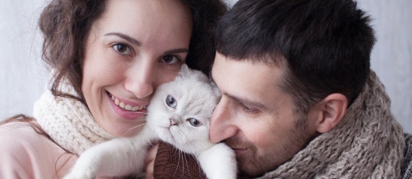 Why Adopting a Cat Can Be Good for Your Marriage