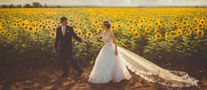 Bride And Groom Walking In Front Of Sunflower Field