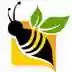 Cash Bees,  Financial Consultant in Douglas, ON