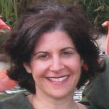 Nancy Simon, Licensed Clinical Social Worker Evanston, IL